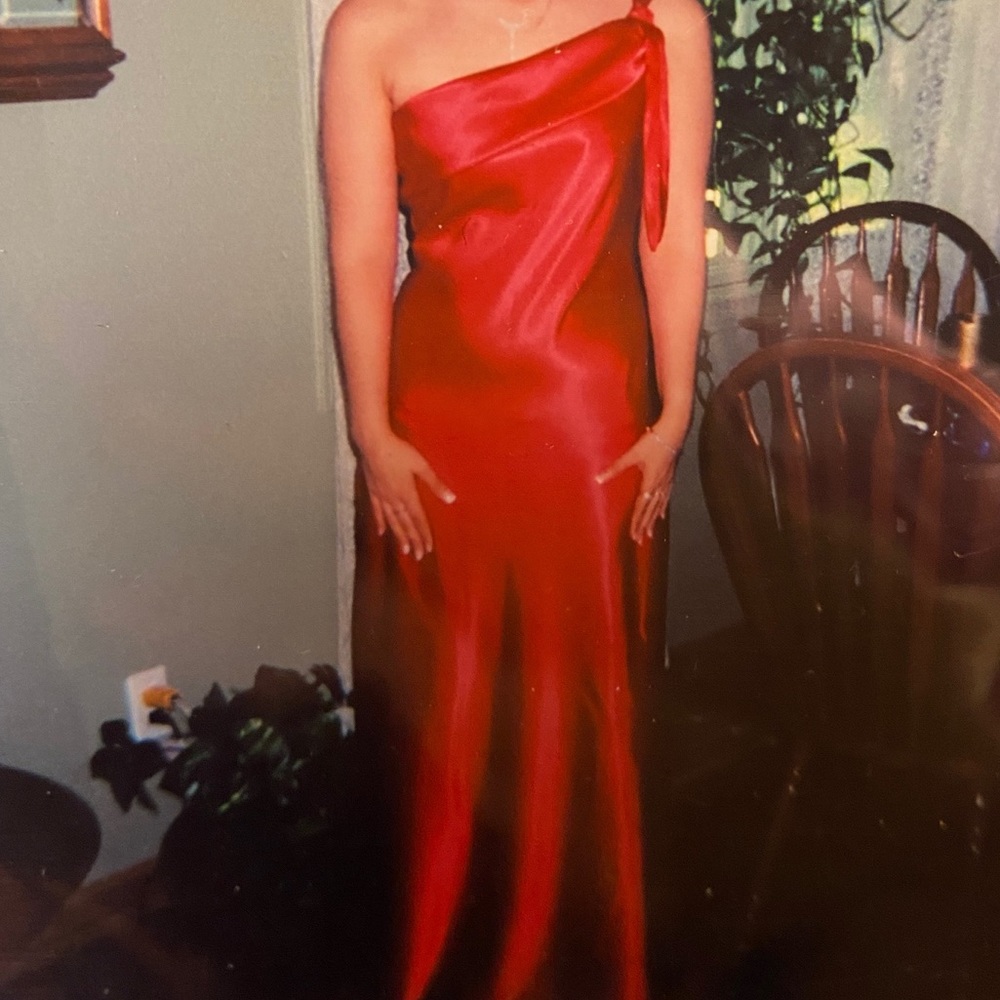 Suzy Sheir special occasion dress size 5 - Picture 5 of 6